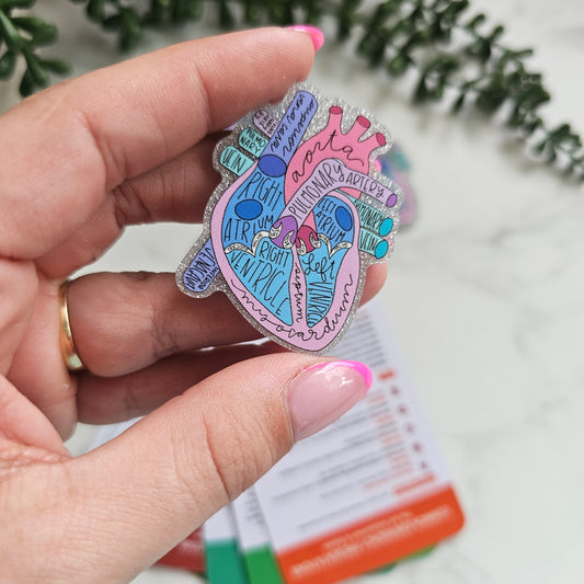 Anatomical heart reel