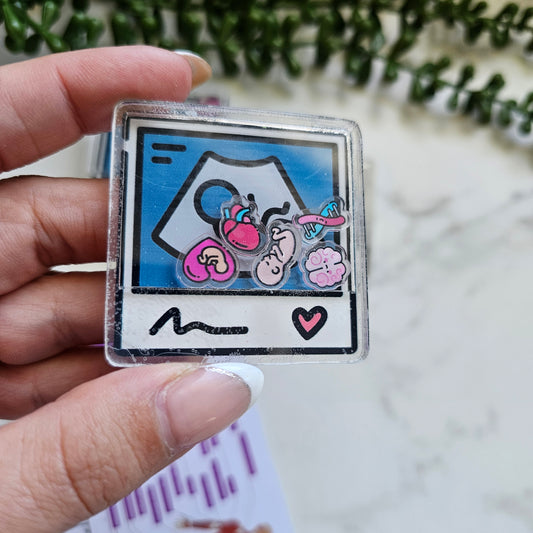 Ultrasound Shaker reel